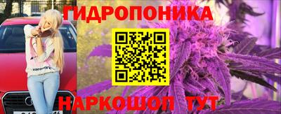 ALPHA PVP Ярославль