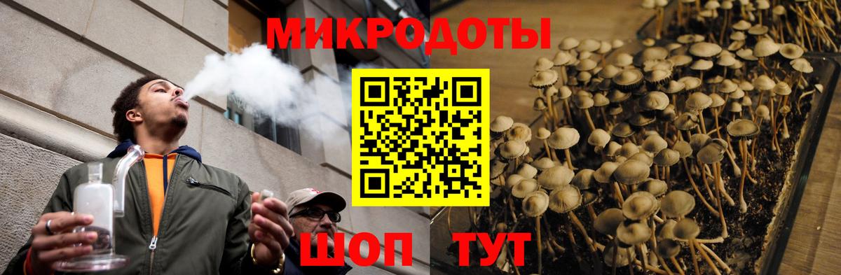 Псилоцибиновые грибы Magic Shrooms Воскресенск
